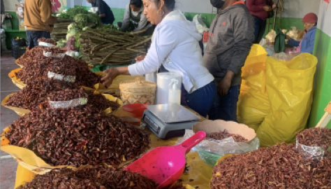 Photo of market selling chapulines