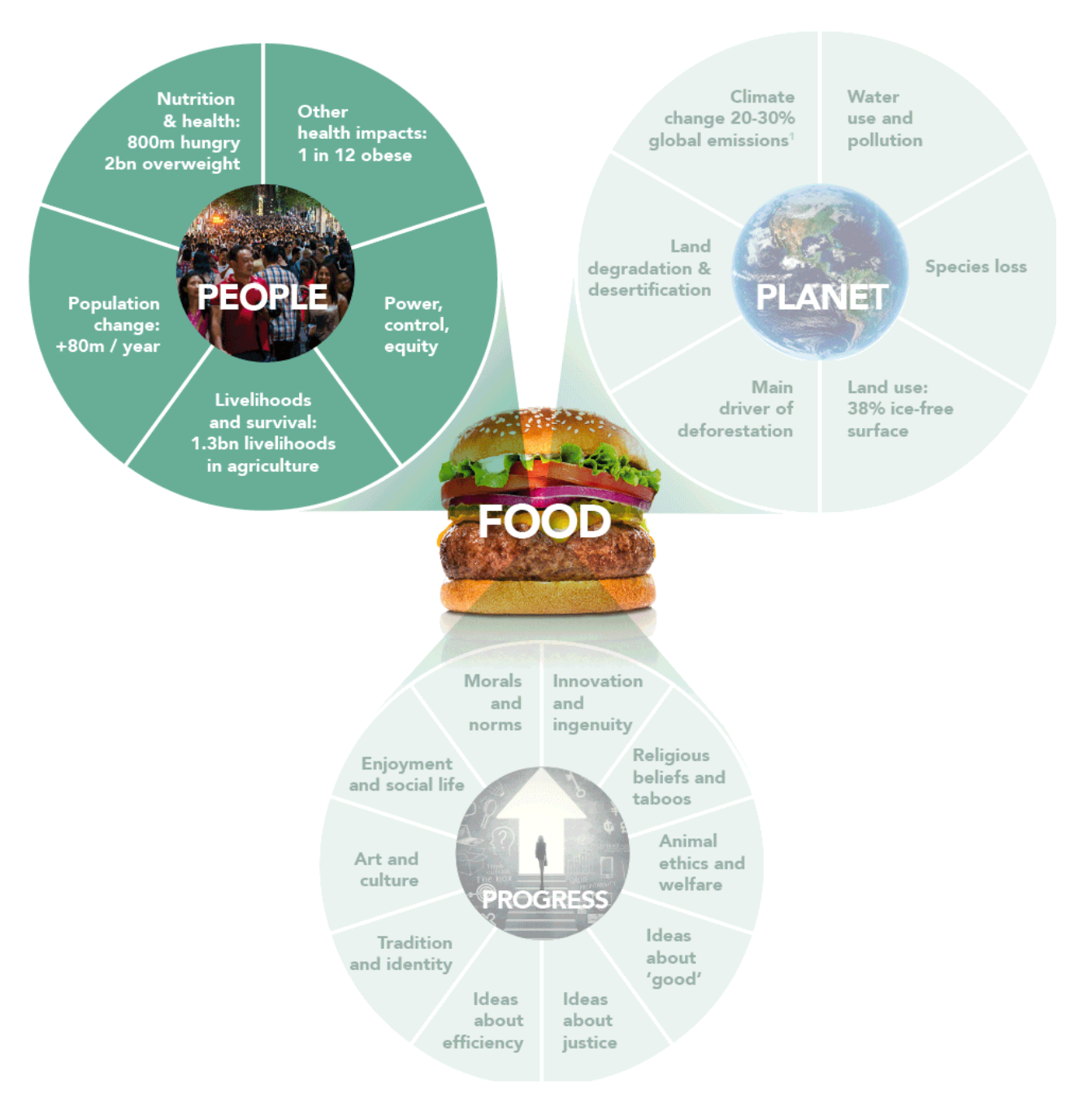 Figure 12: Connection between food systems and human issues.