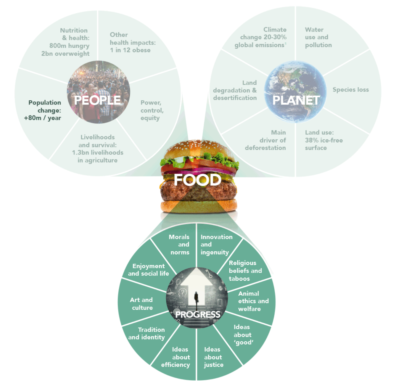 Figure 17: Connection between food systems and human values.