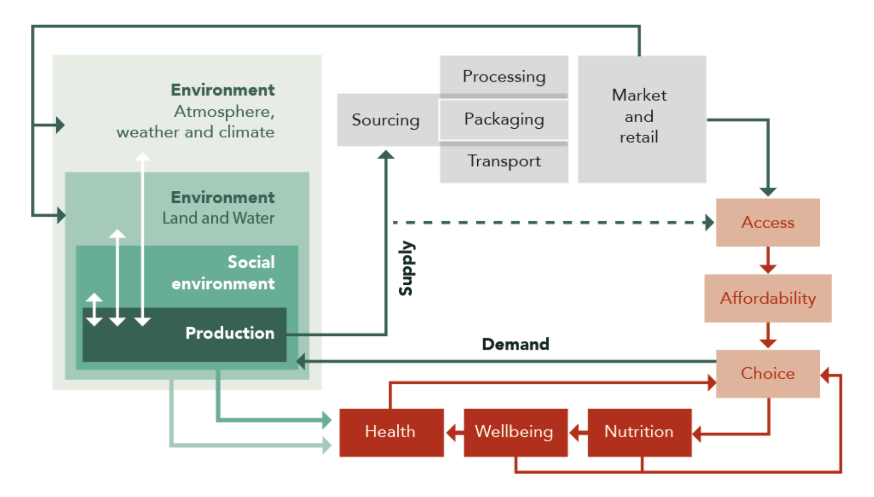 Figure 2: A food system diagram showing some social and environmental influences on the food system.