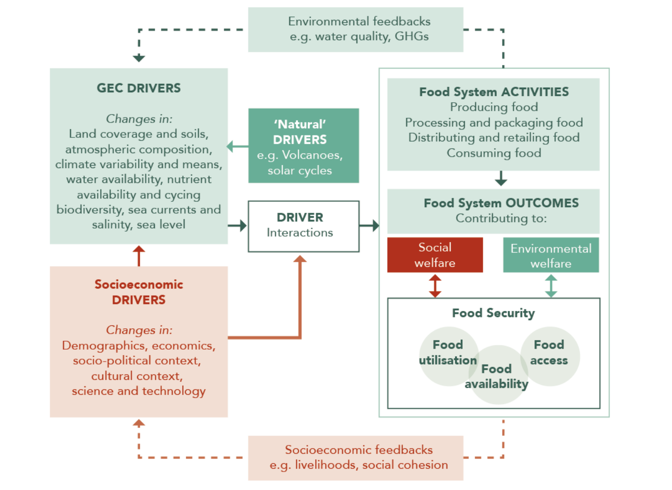 Figure 3: A food system diagram showing drivers of change and relationship with food system outcomes.