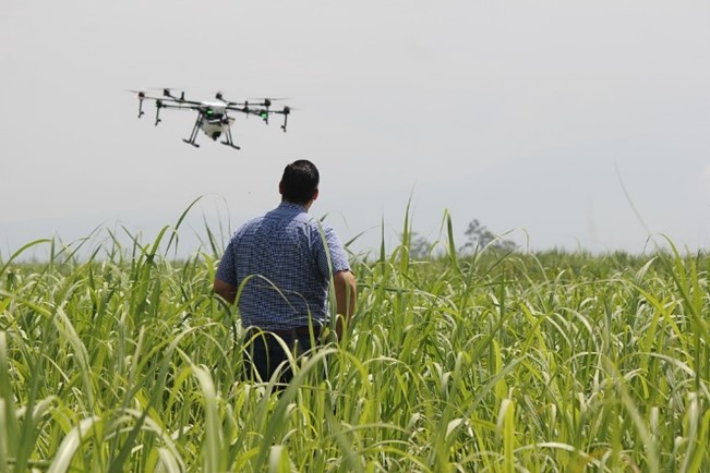 Drone precision agriculture, Herney, Pixabay, Pixabay Licence