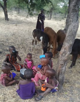 Pastoral kids drinking milk and a pastoral woman herding calves in semi-arid Tanzania during a dry season – Milk is an important protein source for the pastoral community especially children (Photo credit – DD Maleko)