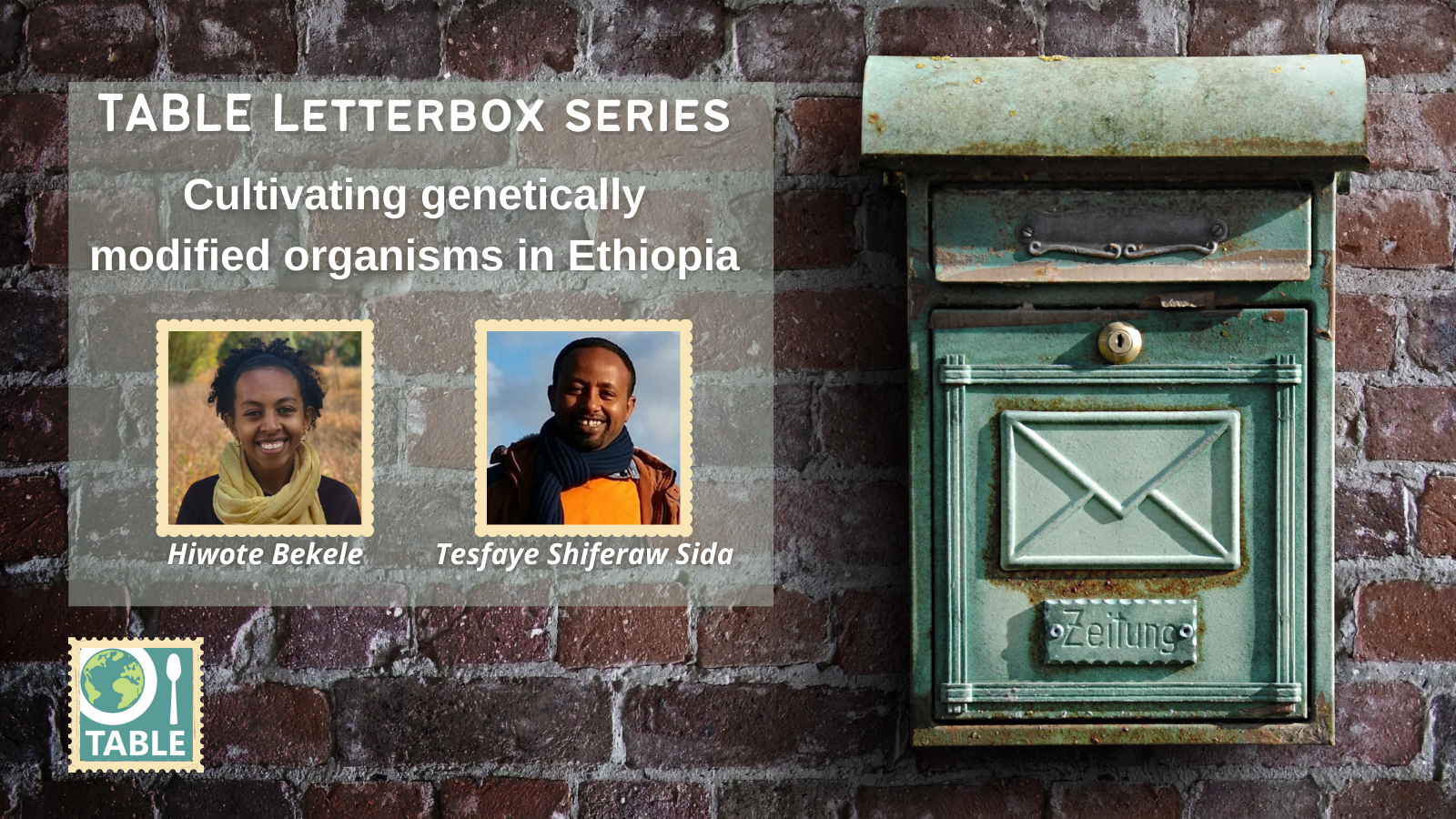 Series 1: Cultivating genetically modified organisms in Ethiopia with Hiwote Bekele and Tesfaye Shiferaw Sida (PhD)