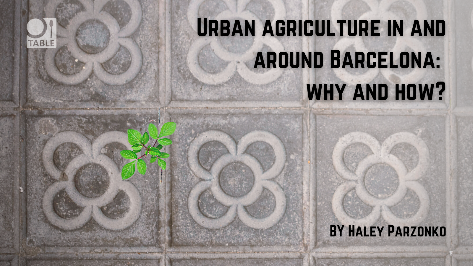 A flyer advertising a new blog from TABLE titled "Urban agriculture in and around Barcelona: Why and how?" by Haley Parzonko. The background is the flor de Barcelona tile pattern with a small plant sprouting in between the tiles.