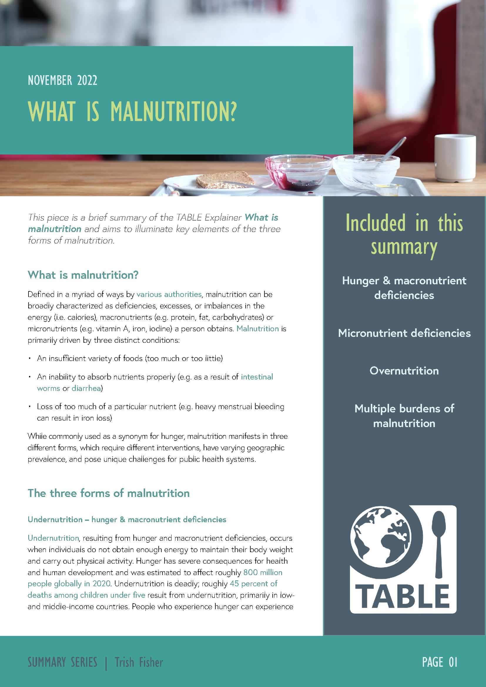 Page 1 of the malnutrition summary PDF
