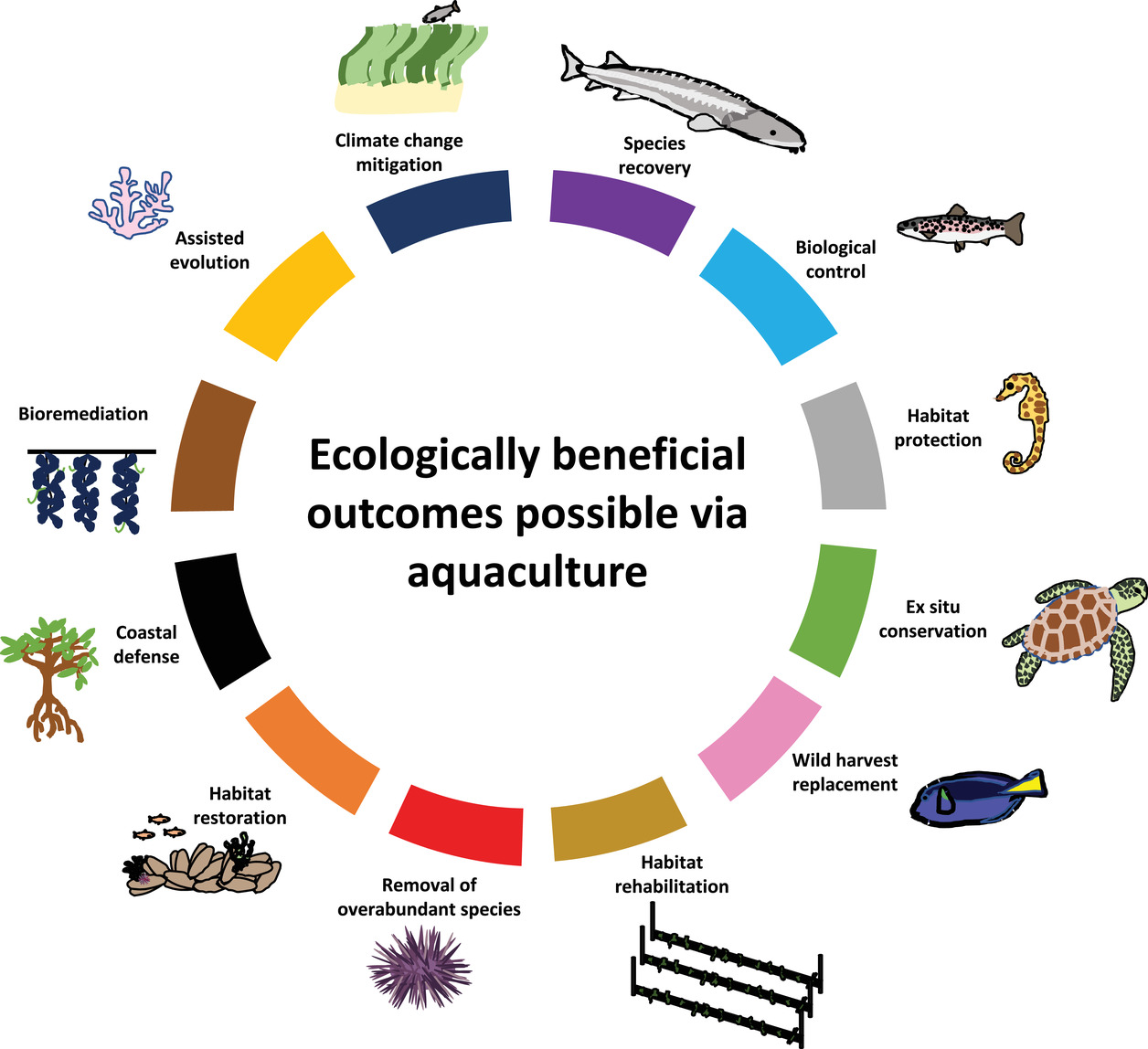 The 12 ecologically beneficial outcomes that can be achieved through aquaculture. A particular aquaculture activity may deliver several of these outcomes at once.