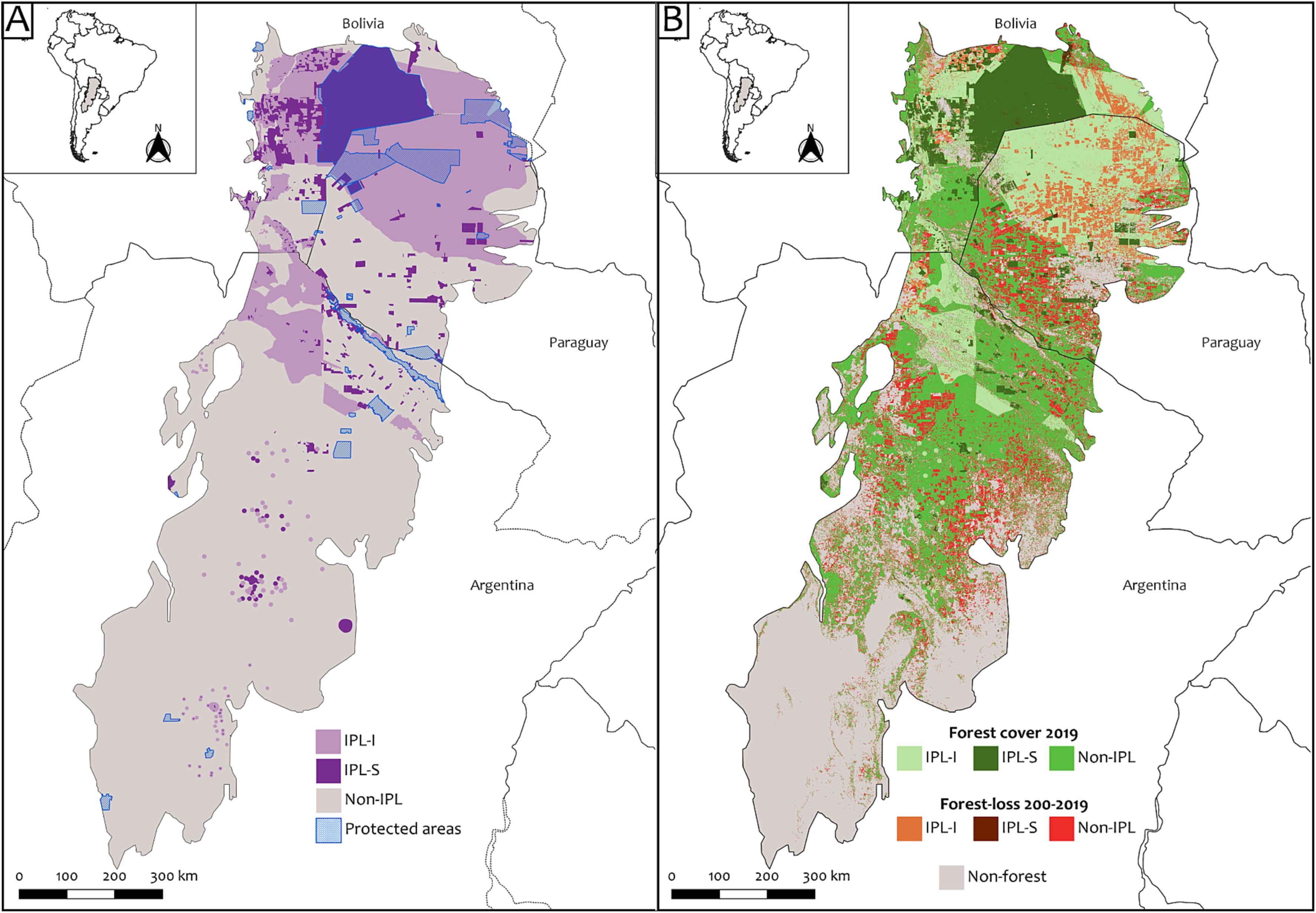 Image: Figure 1, Camino et al., 2023. A: Indigenous Peoples’ Lands with land tenure insecurity (IPL-I) and with land tenure security (IPL-S), land that are not Indigenous (Non-IPL), and Protected Areas in the Dry Chaco region. B: Forest cover in 2019 and forest lost between the years 2000 and 2019 in Indigenous Peoples’ Lands with land tenure insecurity (IPL-I), Indigenous Peoples’ Lands with land tenure security (IPL-S), and in lands that are not Indigenous (Non-IPL), in the Dry Chaco region.
