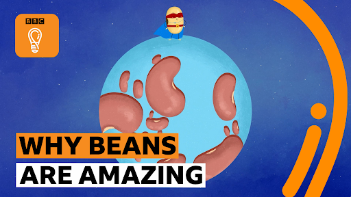 Image from BBC Ideas video - why beans are amazing