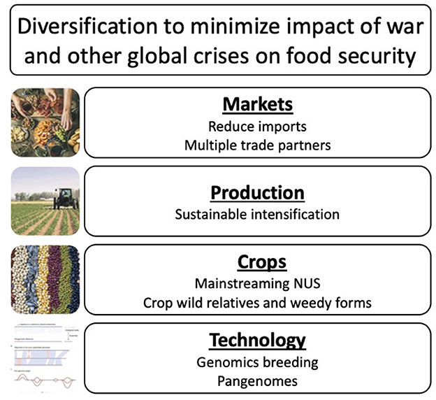 Fig. 6: Neik et. al., 2023. The diversification of four agrifood systems for global food security.