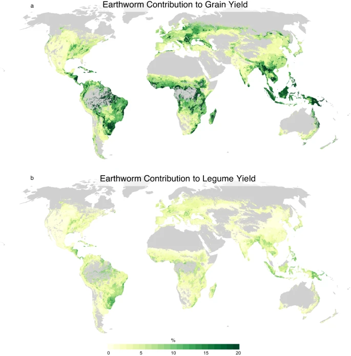 Fonte et. al., 2023; Map of earthworm contribution to Cereal and Legume Yields
