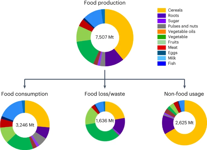 Fig. 1: Global food production, food loss/waste, non-food usage and available human consumption (Wang et. al., 2023)