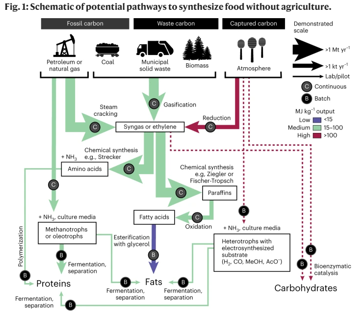 Figure 1: Pathways to synthesising food without agriculture