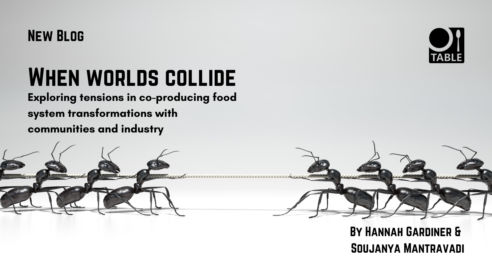 This flyer advertises a new blog by Hannah Gardiner and Soujanya Mantravadi called "When worlds collide: Exploring tensions in co-producing food system transformations with communities and industry" with an image of ants collaborating in tug of war.