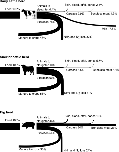 Figure 5: Illustrative examples of livestock feed nitrogen (N) conversion to meat, milk, manure, and by-products, based on European production systems. The diagrams show how one unit of feed N is partitioned on average in the whole livestock herd including animals of different age. In general, monogastric livestock such as pigs and poultry are more efficient than ruminants in converting feed N to meat. Note that efficiencies can vary considerably depending on breeds, feed composition, production intensity, 