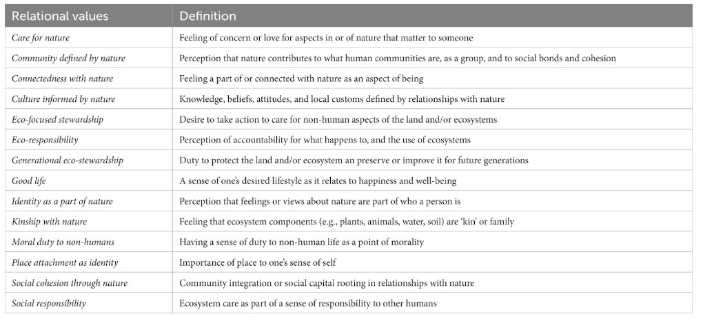 A table representing relational values identified by the researchers and their corresponding definitions