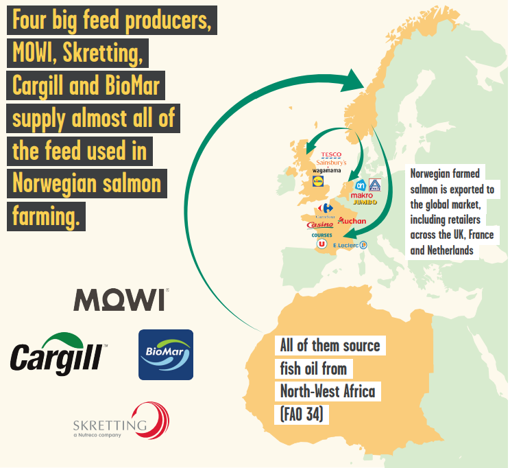 Image 1: Visual demonstrating the flow of salmon feed from West Africa to Norway and the farmed salmon to western european countries driven by four major companies MOWI,, Cargill, BioMar, and Skretting
