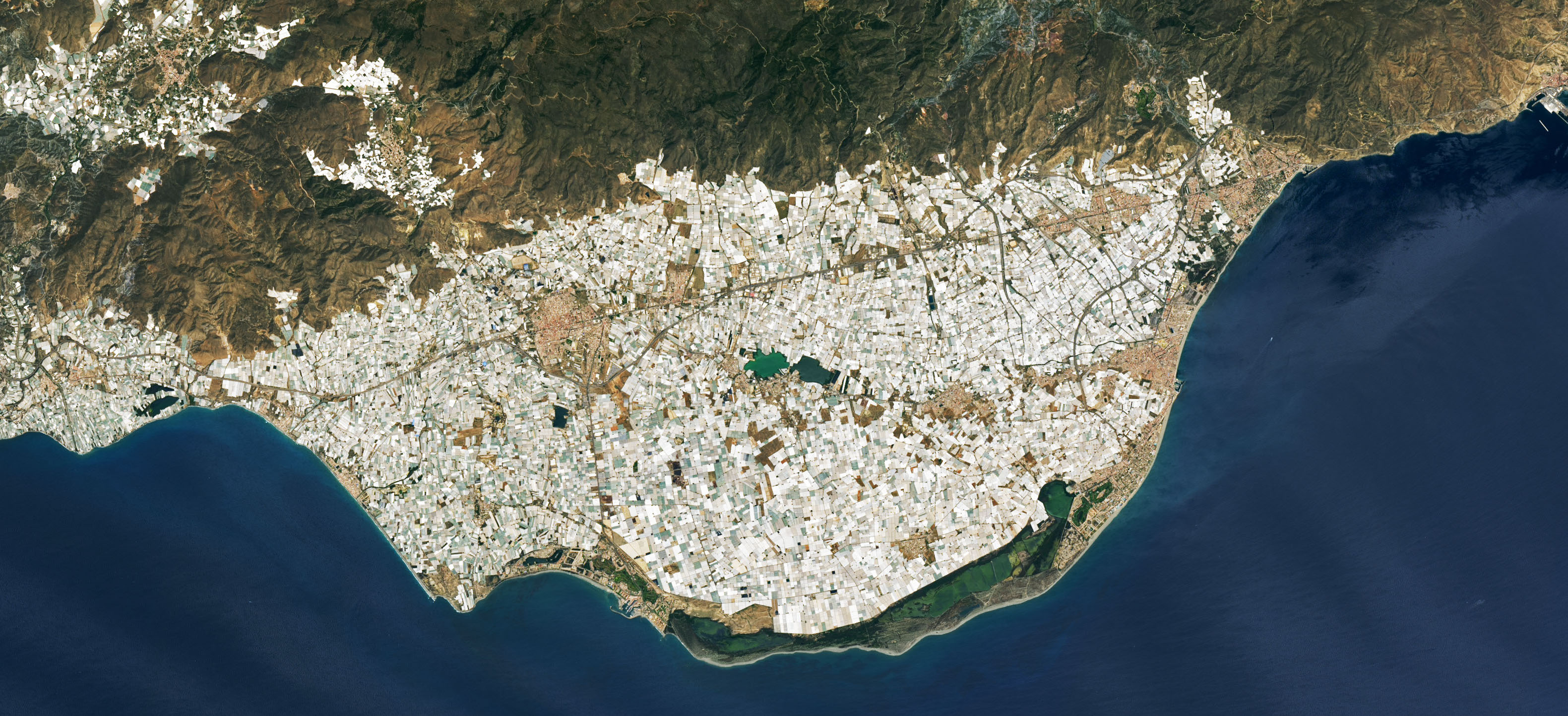 Overhead image of Almería’s Sea of Greenhouses, courtesy Earth Observatory NASA