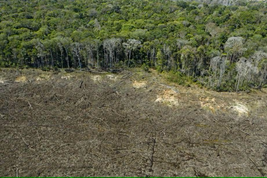 Deforestation in Amazon- AFP