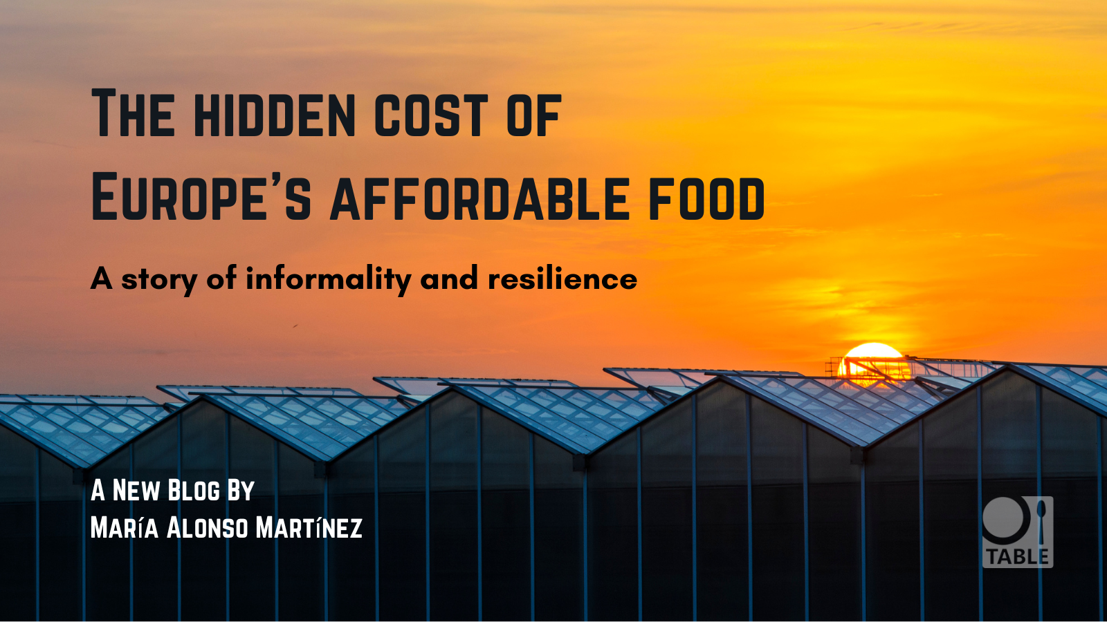 image of greenhouses in sunset, with text 'the hidden cost of Europe's affordable food'