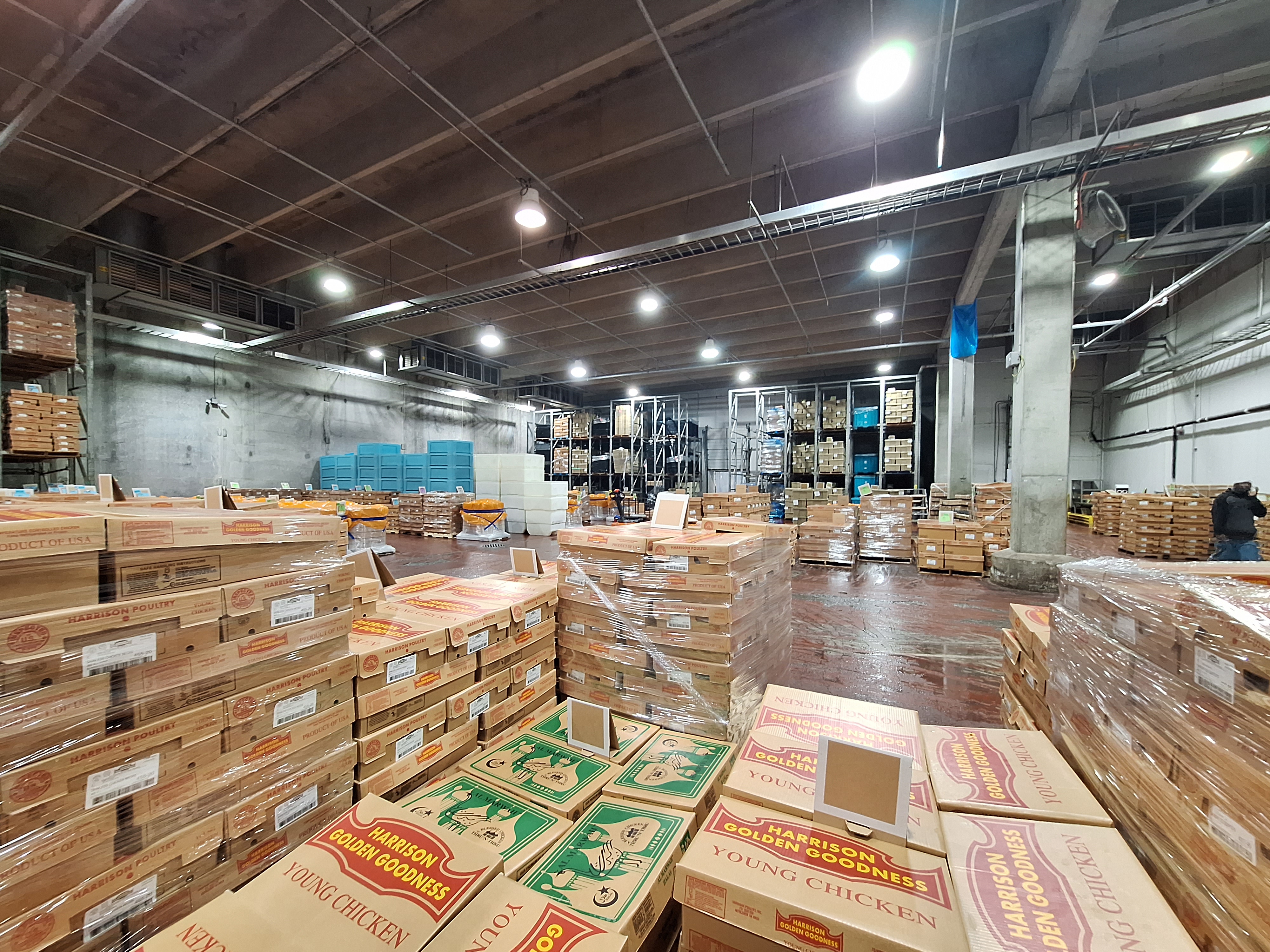 Image of cardboard boxes of chicken for export, stacked in a warehouse. Photo by Martin Aucoin