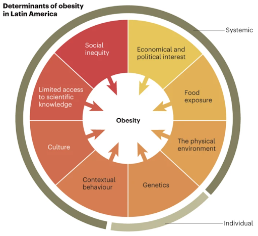 Figure 1: Eight determinants of obesity in Latin America.