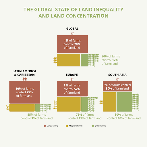  Infographic showing state of land inequality around the world. 