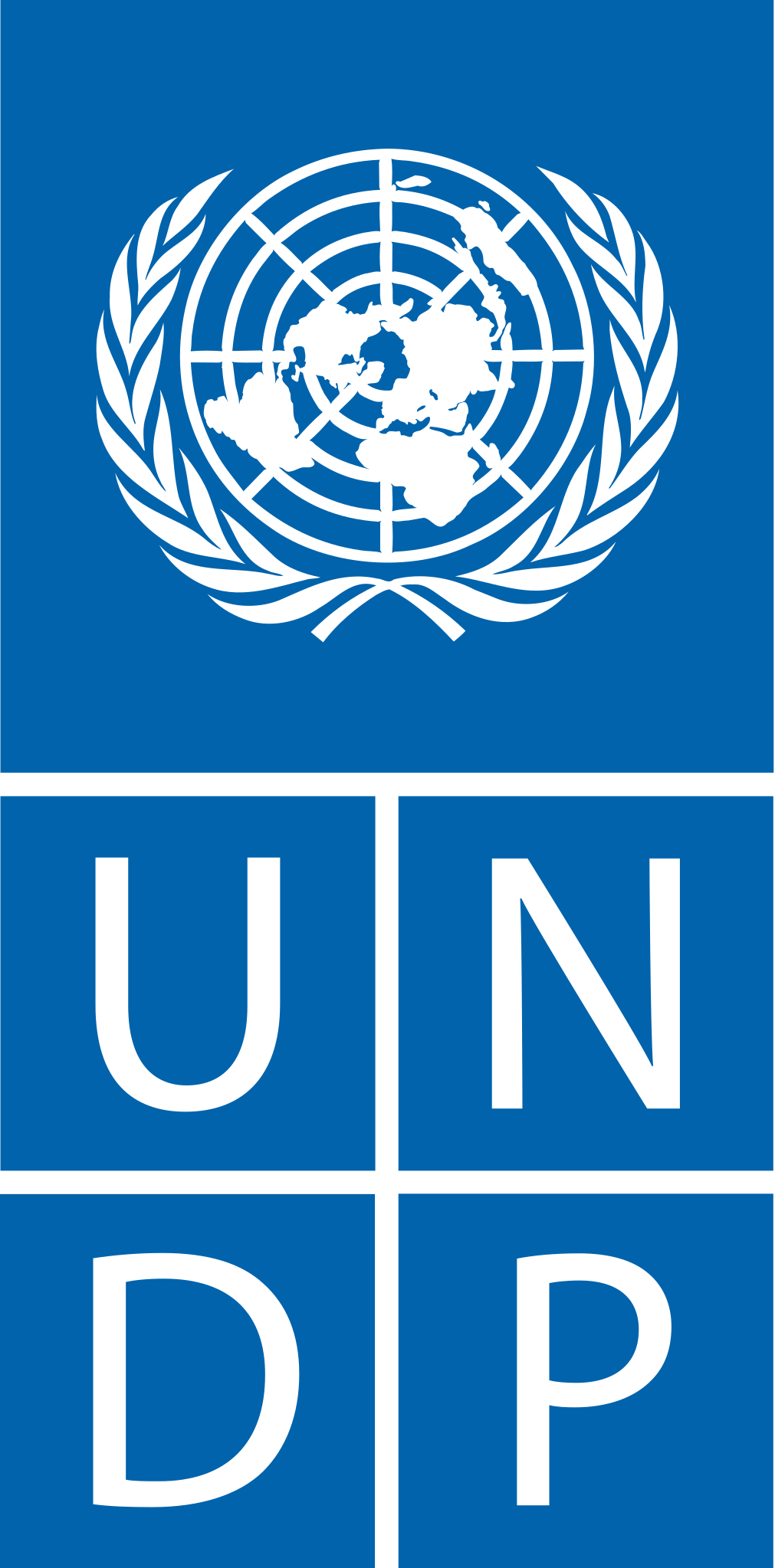 United Nations DP logo