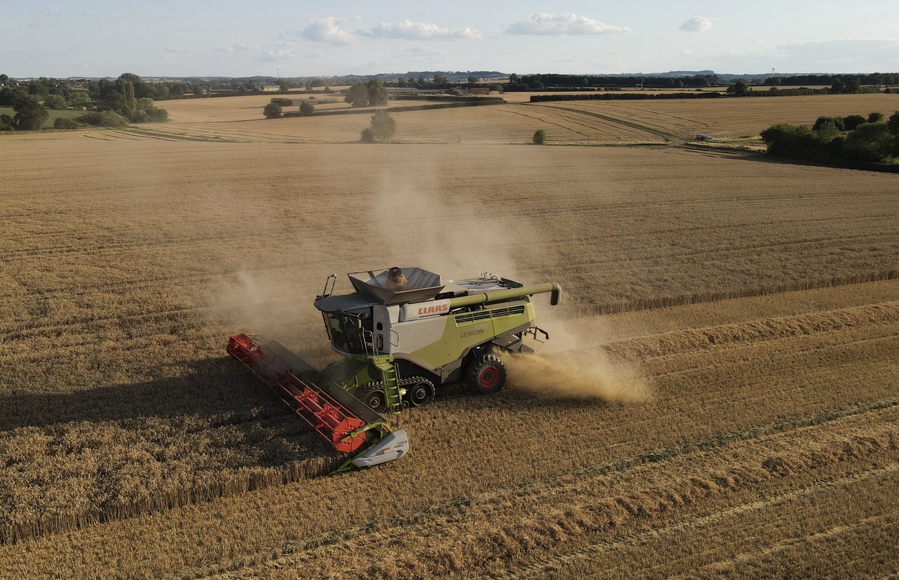 Combine harvester in field of wheat