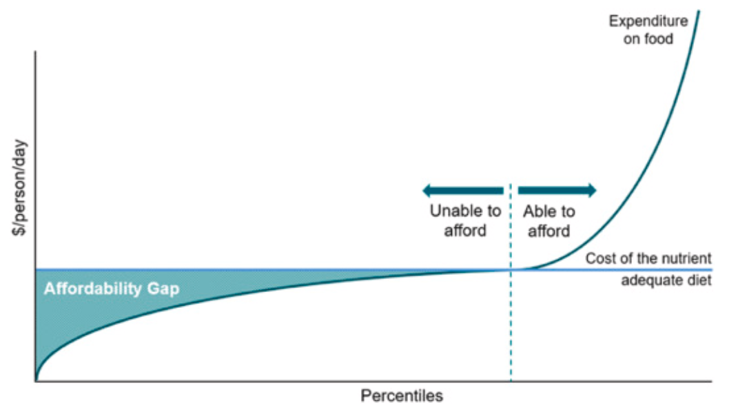 Figure 1: Visualisation of the affordability gap as a function of money spent per person per day and the percentiles of the survey population. 