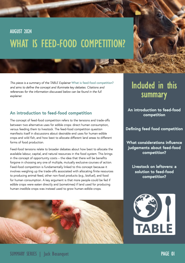 The cover of the TABLE Explainer Summary Feed Food Competition, published in August 2024.