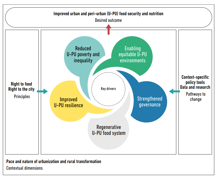 Figure 1: Theory of change for improved urban and peri-urban food security and nutrition