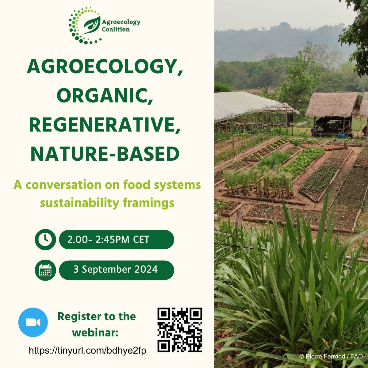 Flyer for a 3 September 2024 online event "Agroecology, Organic, Regenerative, Nature-based" by Agroecology Coalition