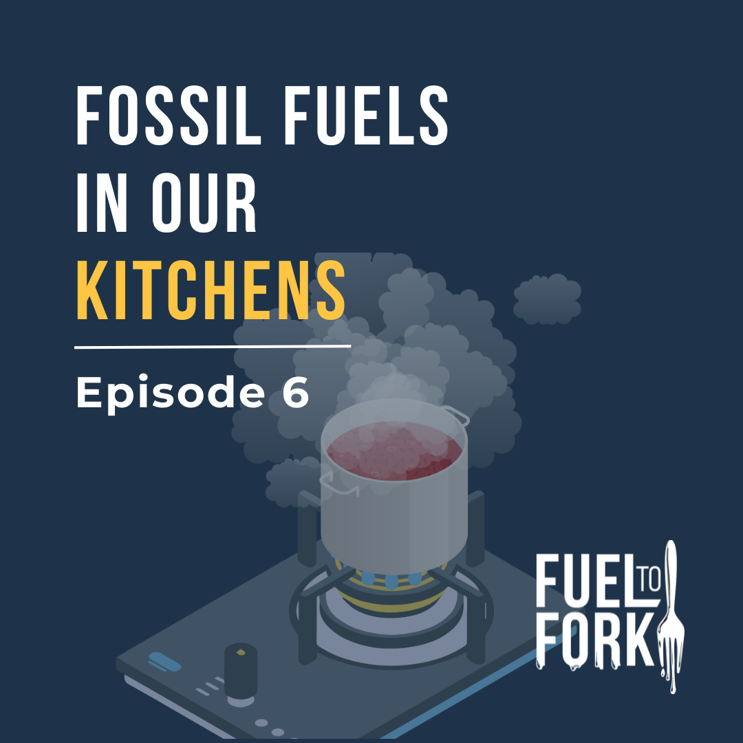 Episodd 6. Fossil fuels in our kitchens 