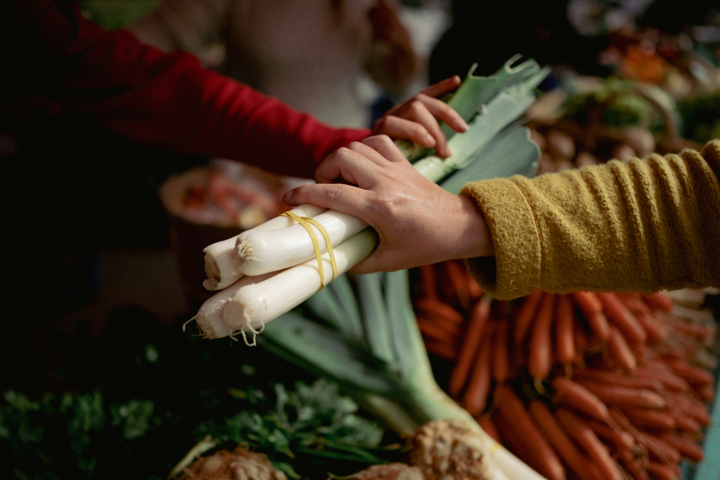 Hands holding onion with veggies in background