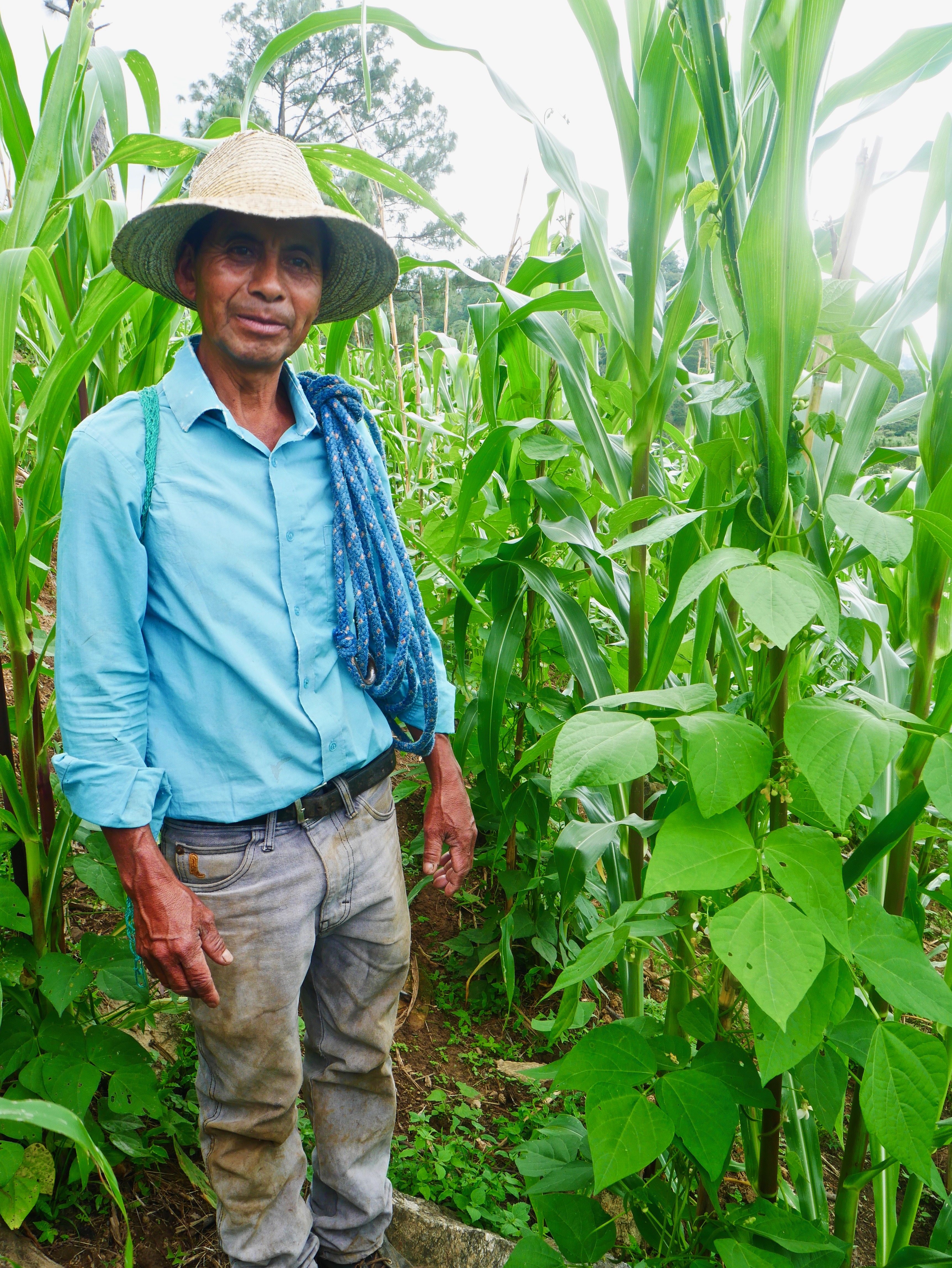 Don Francisco stands in his milpa. Photo provided by Nathan Einbinder.