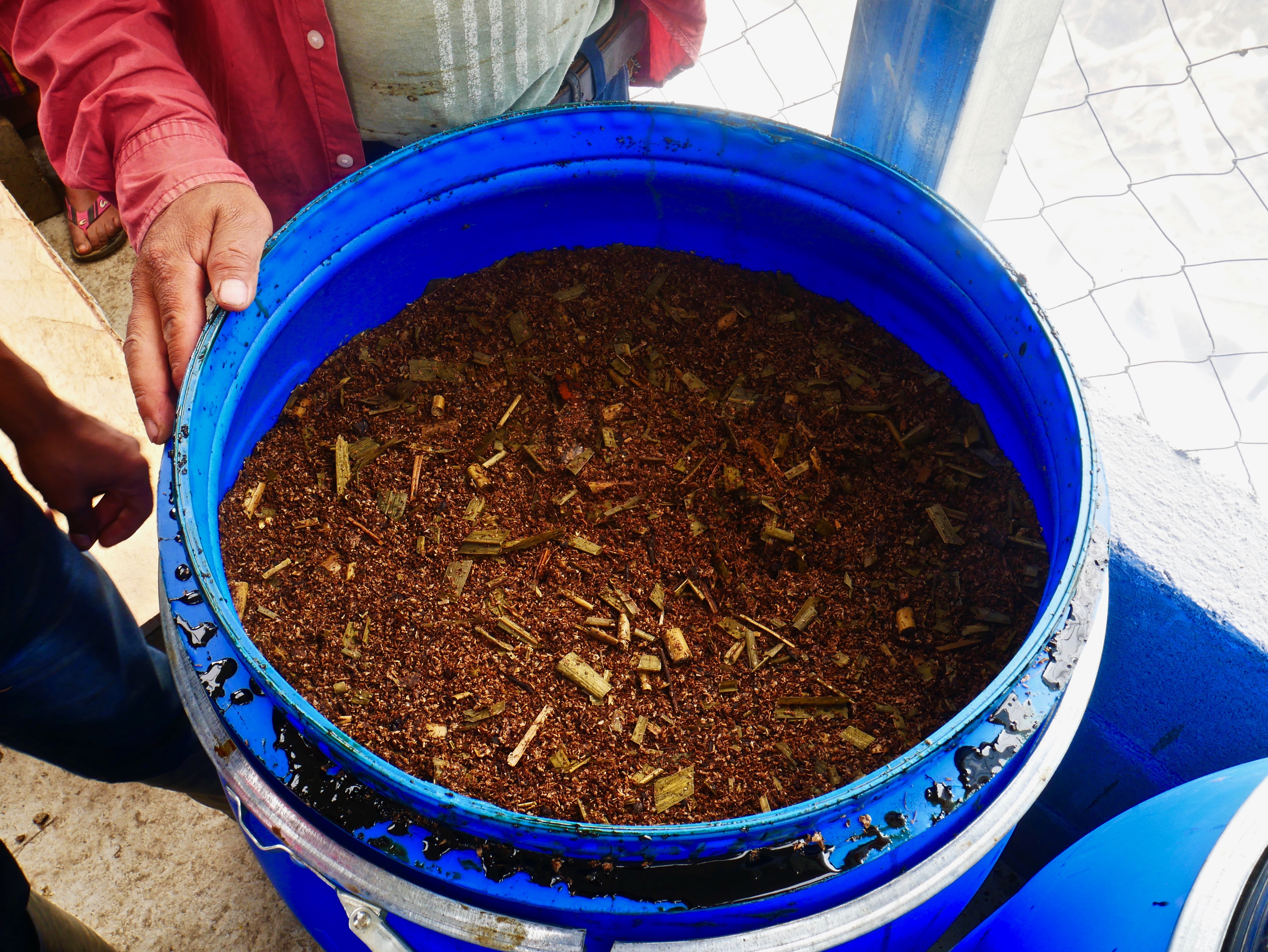 A blue bucket of "la Madre Liquída" which is fermented to promote the growth of micro-organisms and then added to soil to aid crop growth. Photo provided courtesy of Nathan Einbinder.