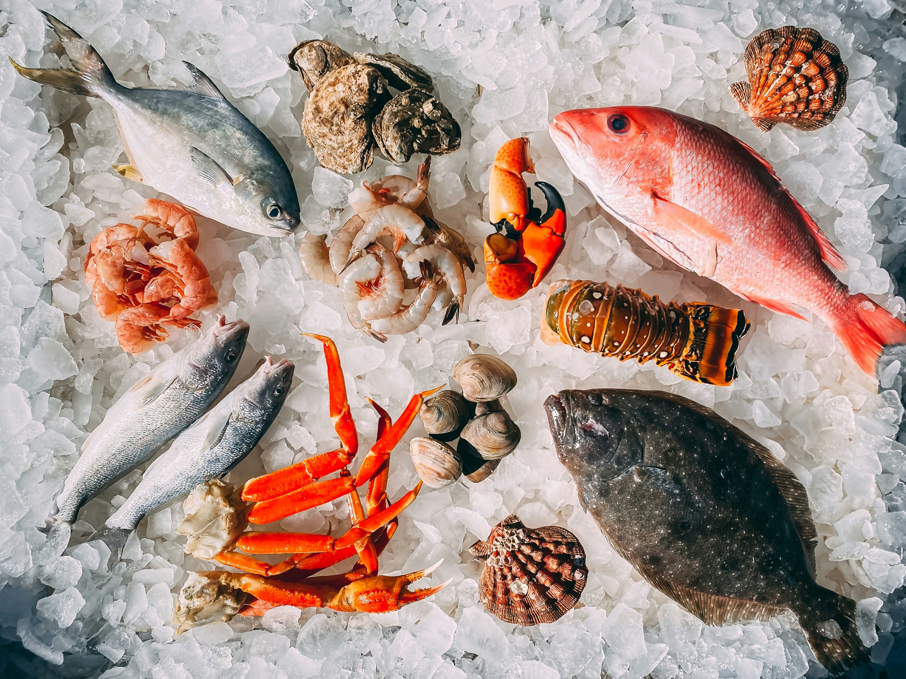 Image of fish, shellfish and crab on ice ready for sale, by Mike Bergmann