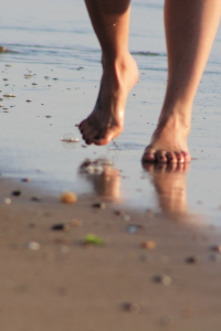 Image: holstein, Movement feet run, Pixabay, Pixabay Licence