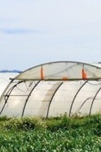 Image: Medium-sized market garden growing 5 ha for the local market, in Bouches-du-Rhône. 