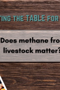 A flyer advertising the "Setting the Table for COP27" series and the event “Does methane from livestock matter?“ There is a photo strip of agricultural landscapes laying on a wooden table and the TABLE logo in the corner and photos of Martin Persson, Claudia Arndt, John Lynch, and Andy Reisinger.