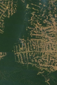 Image: NASA, Deforestation in the state of Rondônia in western Brazil, Wikimedia Commons, Public domain