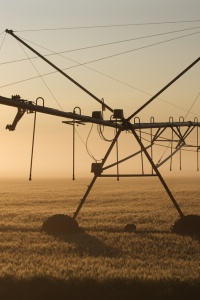 Photo: Chris Happel, irrigation at dawn, Flickr, Creative Commons License 2.0 generic.