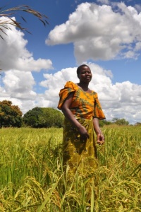 Photo: Oxfam East Africa, Sustainable food for all, Flickr, Creative Commons License 2.0 generic.