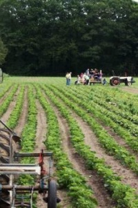 Photo, Suzette, Visiting an organic farm, Flickr, Creative Commons licence 2.0