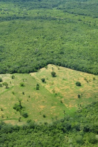 Amazon land use by CIAT via Flickr
