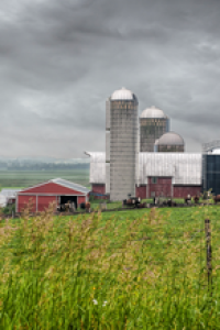 Photo credit: Randen Pederson, Wisconsin Farm, Flickr, Attribution 2.0 Generic 