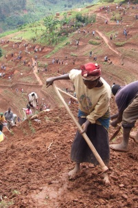 Photo credit: DFID - UK Department for International Development, Women and men in northern Rwanda work on a public works site, building terraces to prevent soil erosion, Flickr, Creative Commons Attribution-ShareAlike 2.0 Generic.