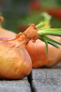 Image: Max Pixel, Harvest farm, CC0 Public Domain