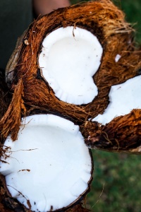 Image: Jonas Dücker, person holding coconut husks, Unsplash, Unsplash licence